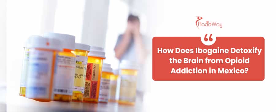Ibogaine Opiod Addiction Treatment in Mexico