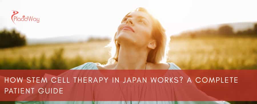 How Stem Cell Therapy in Japan Works? A Complete Patient Guide