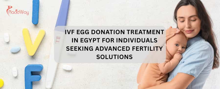 IVF Egg Donation Treatment in Egypt for Individuals Seeking Advanced Fertility Solutions