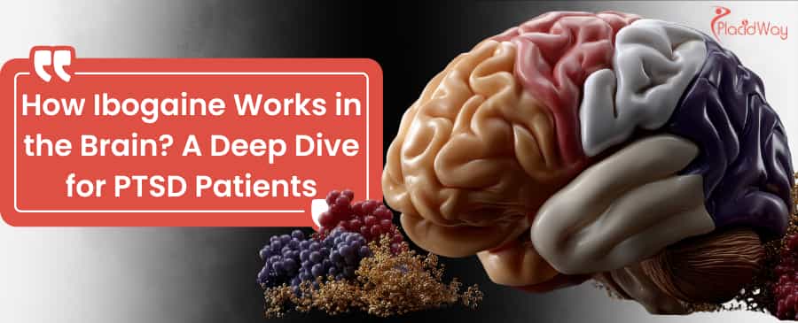 ibogaine treatment in Mexico