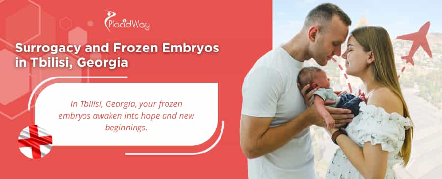 Tbilisi Surrogacy | Frozen Embryos Program
