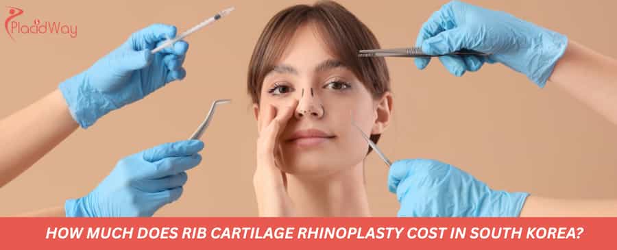 How much does rib cartilage rhinoplasty cost in South Korea?