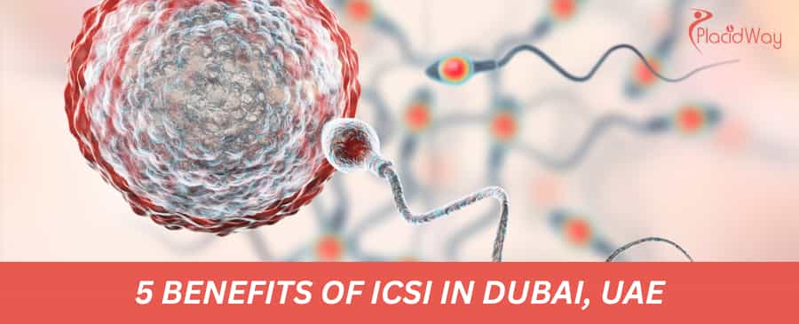 5 Benefits of ICSI in Dubai, UAE