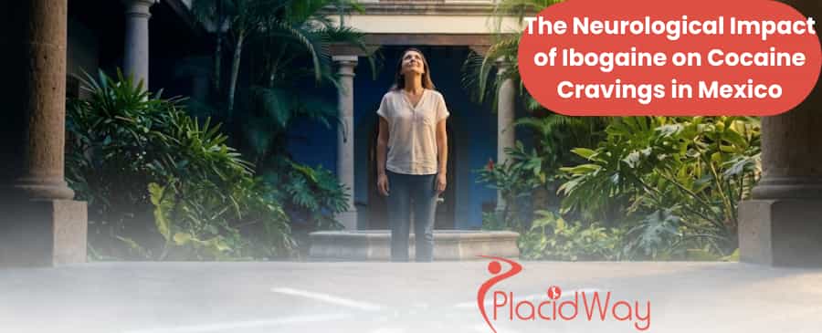 Ibogaine treatment in Mexico