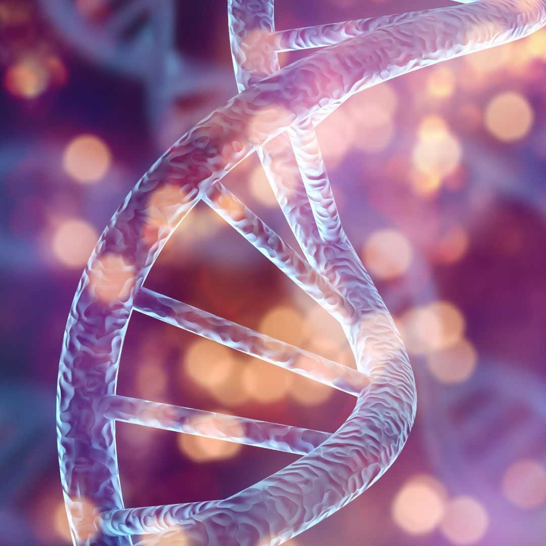 MexStemCells Regenerative Process