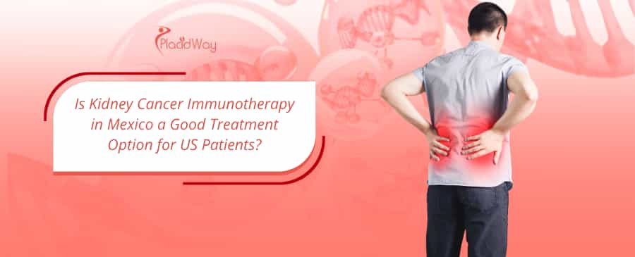 Kidney Cancer Immunotherapy