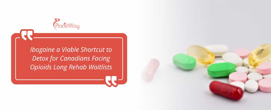 Ibogaine a Viable Shortcut to Detox for Canadians Facing Long Rehab Waitlists