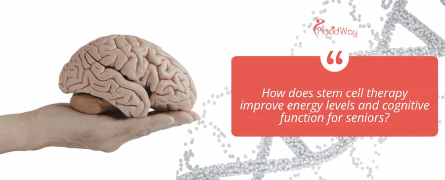 How does stem cell therapy improve energy levels and cognitive function for seniors?