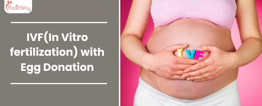 Is IVF with Egg Donation 