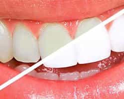 Dr. Nevsin Sener Dental Treatment Clinic