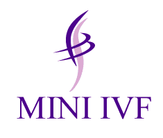 Mini IVF Clinic
