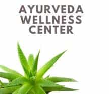 Ayurveda Wellness Center