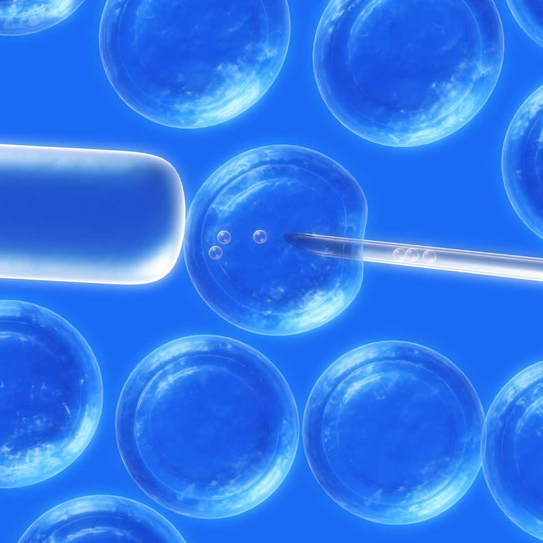 CAR T-Cell Therapy Cost in China & Clinics