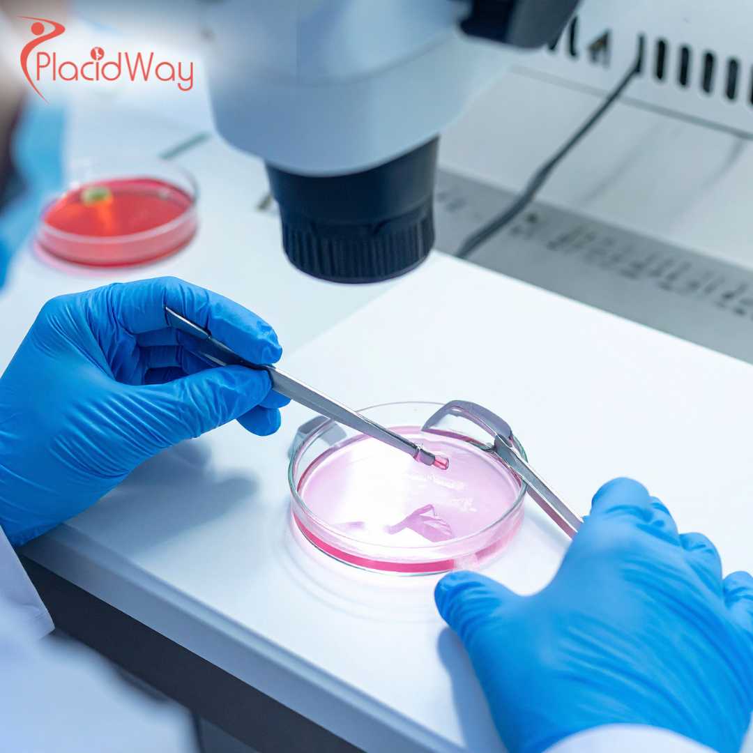 Embryonic Stem Cell Therapy in Turkey: Innovative Care for UK Patients