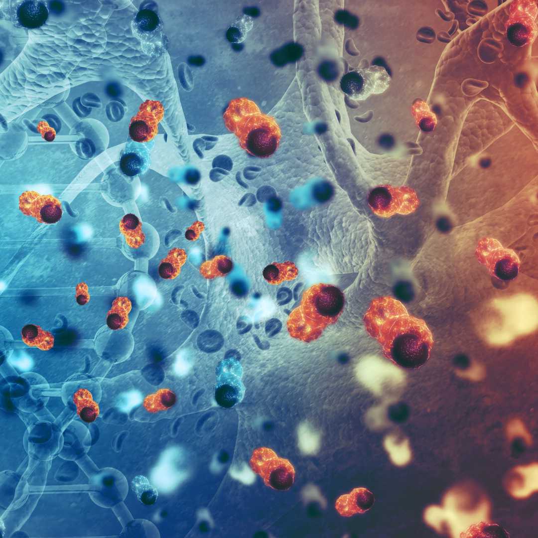 Stem Cell Therapy: India vs. USA - A Comprehensive Comparison Guide