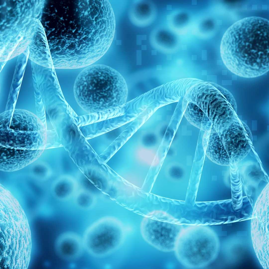 Stem Cell Therapy Malaysia vs. USA: Your Guide to Regenerative Medicine