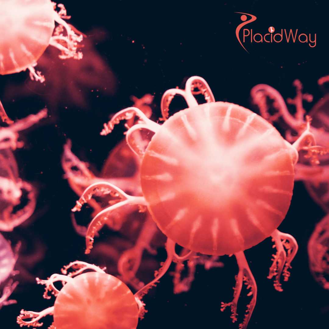 Stem Cell Therapy for Autoimmune Disorders in Mexico: A Comprehensive Guide