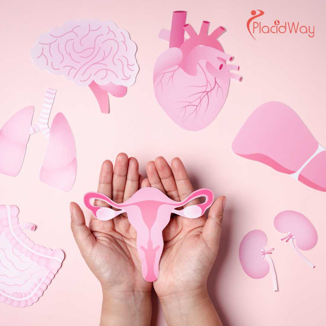 Holistic Cervical Cancer Treatment in Tijuana - Protecting Your Fertility and Future