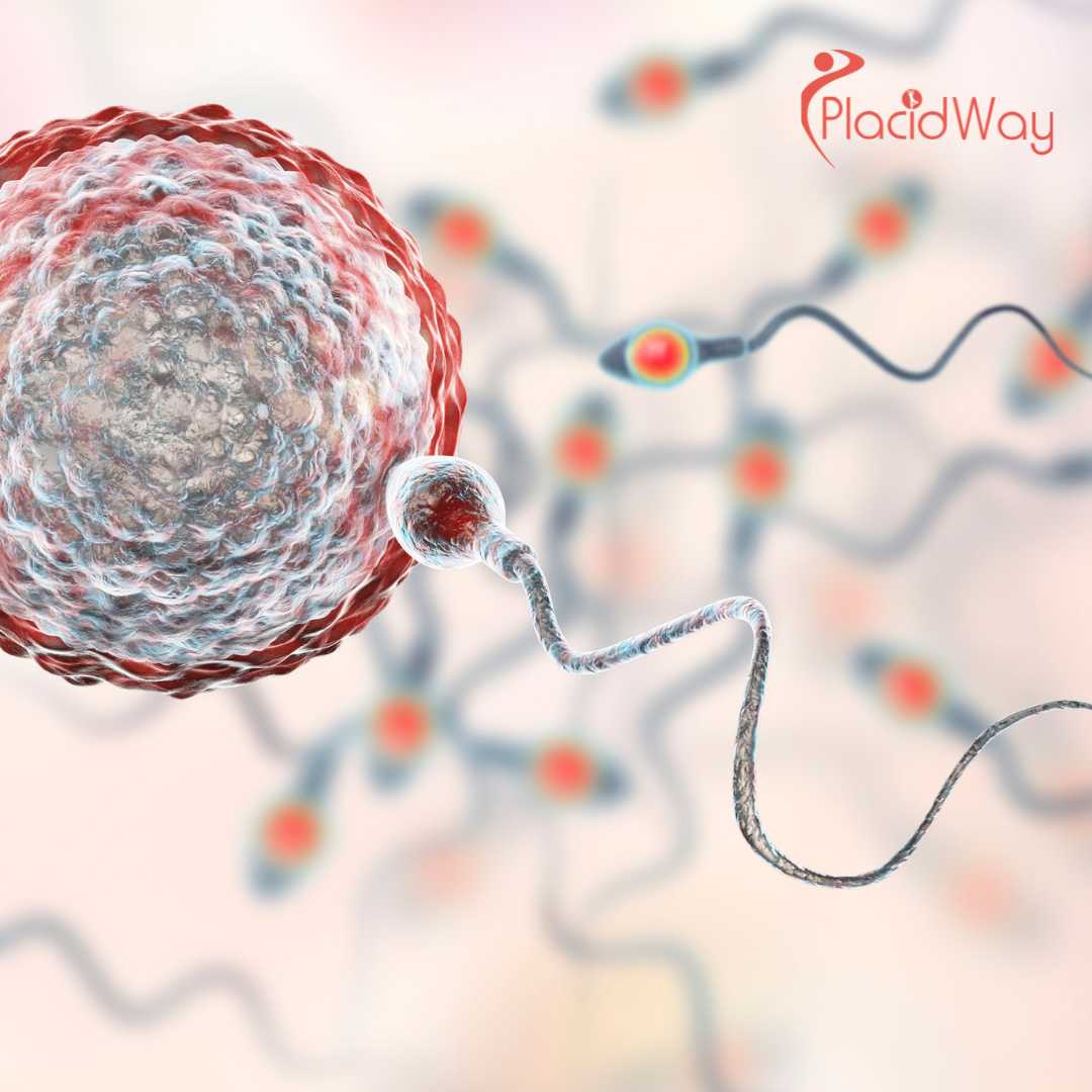 5 Benefits of ICSI in Dubai, UAE