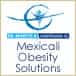 Obesity Procedures Highlights Qualifications of Mexican Obesity Surgeons