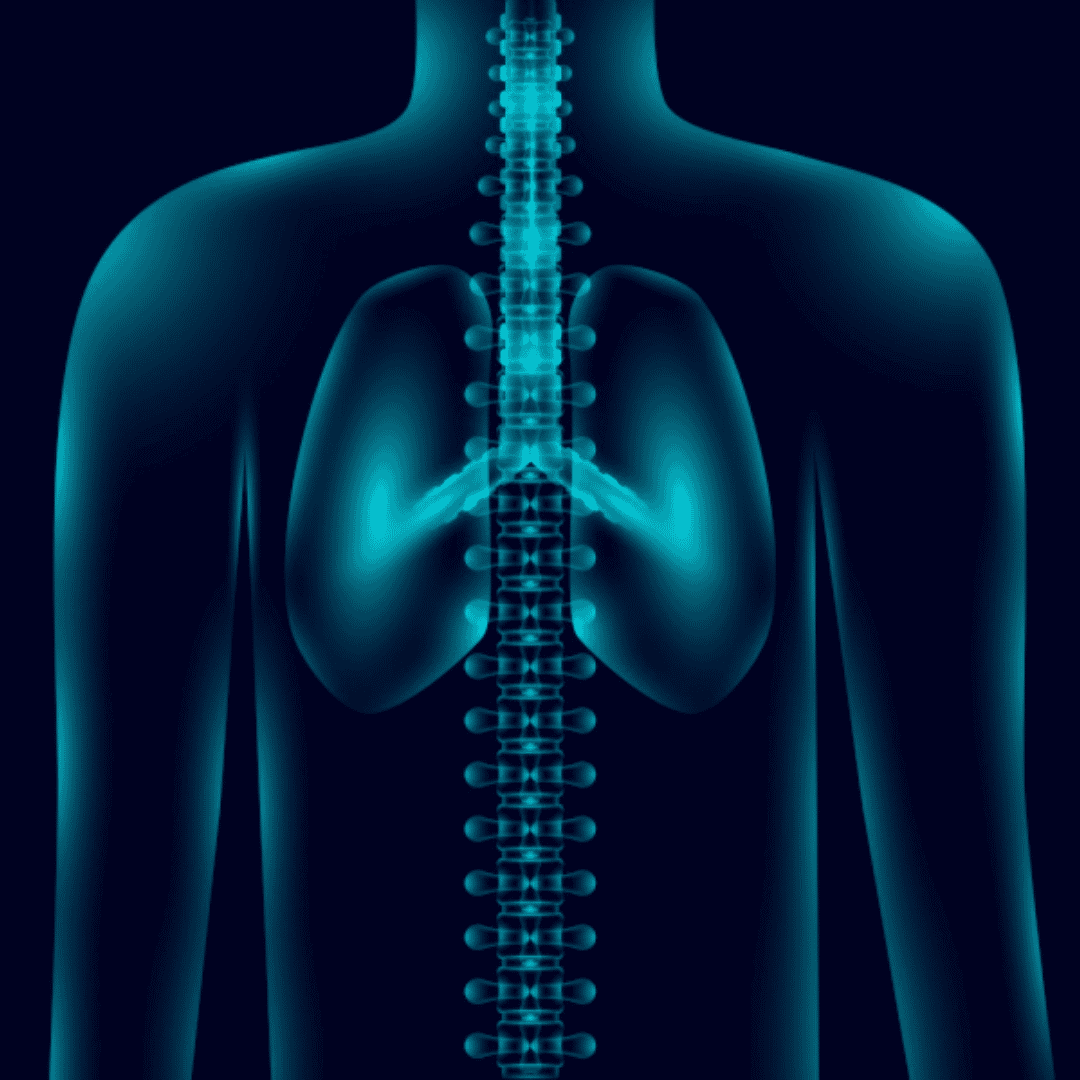 Stem Cell Therapy for COPD in Germany