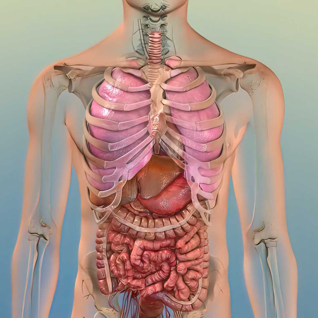 Stem Cell Therapy for COPD in Tijuana Mexico