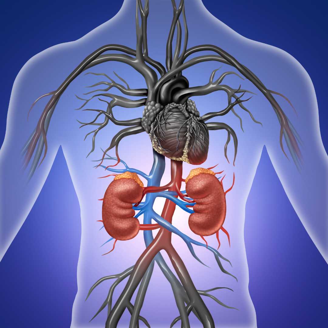 Stem Cell Therapy for Kidney Failure in India