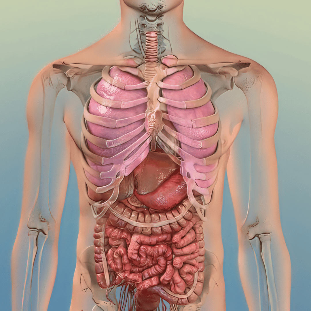 Alternative Lung Cancer Treatment in Mexico