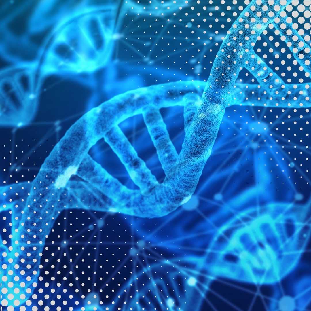 Stem Cell Therapy in Slovakia