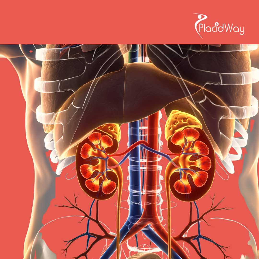 Stem Cell Therapy for Kidney Failure in Asia