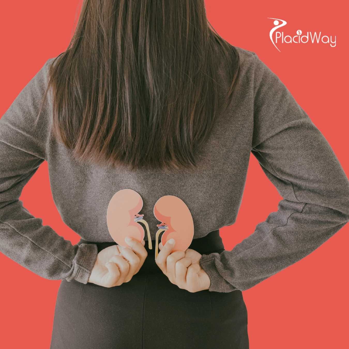 Kidney Stones Removal Surgery in Turkey