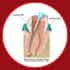 Infographics-Dental-Root-Canal-in-Mexico