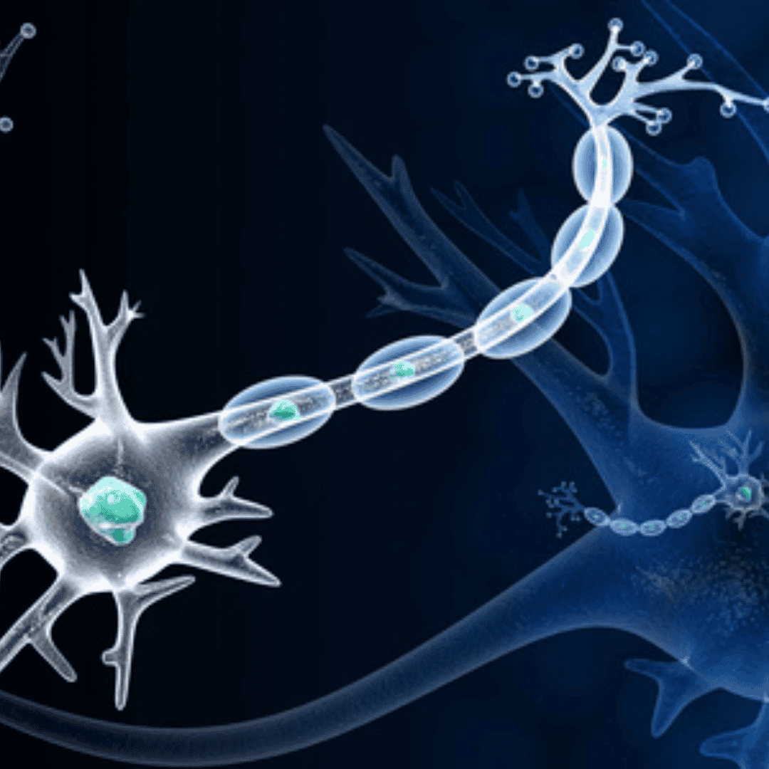 Stem Cell Therapy for Alzheimers Disease in Tijuana Mexico