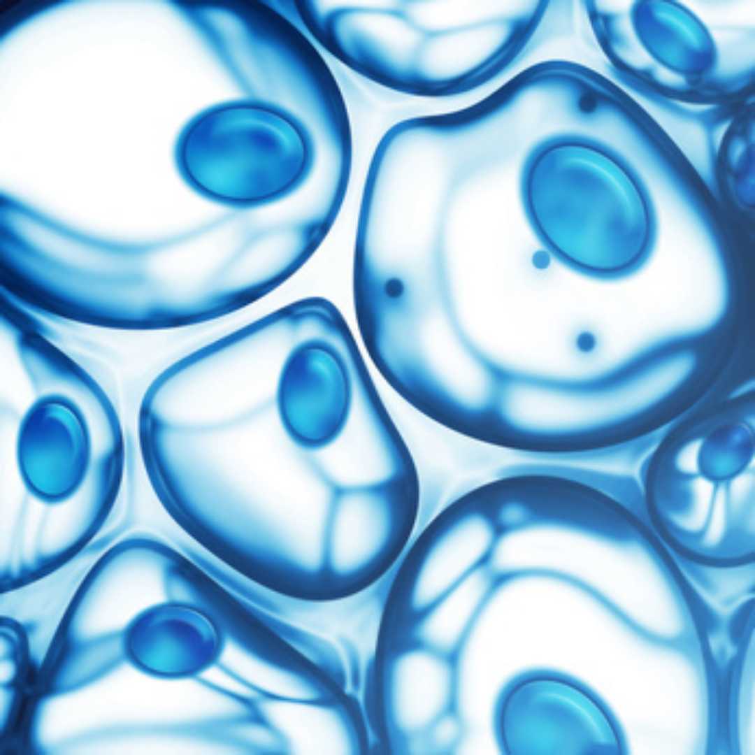 Stem Cell Therapy for ALS in Mexico City Mexico at MexStemCells Clinic