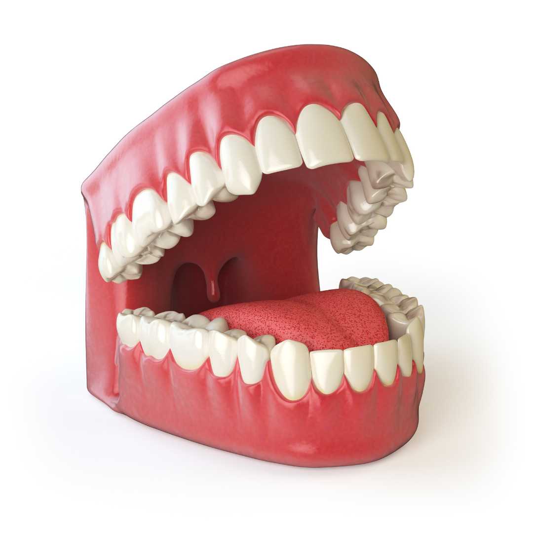 Effective Dentures in Costa Rica Now At Easy Prices