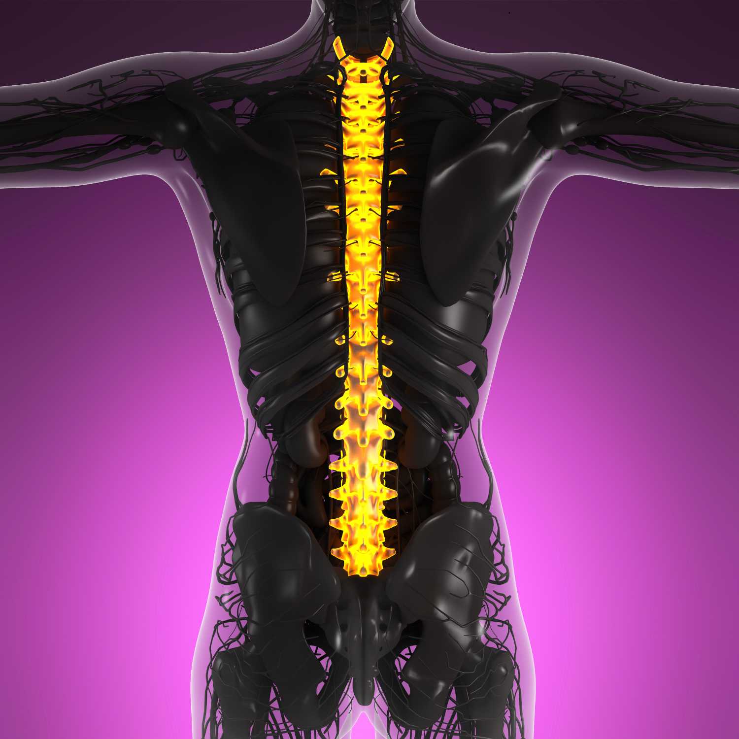 Dr. Ozcan Clinic Spinal Stabilization and Fusion Surgery in Istanbul, Turkey 