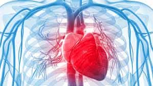 Heart failure treatment with stem cells