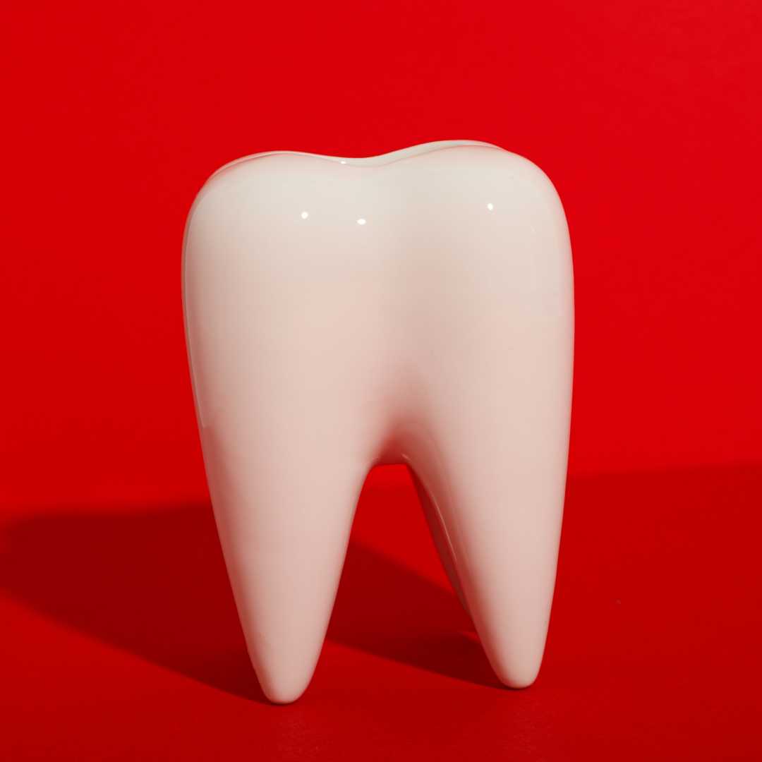Dental Implants Los Algodones: All on 6 Package by The Prostho Studio in Mexico