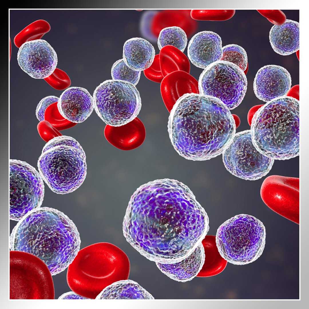 Stem Cell Therapy with NK Cells for Immune Boost and Longevity in Cabo San Lucas, Mexico
