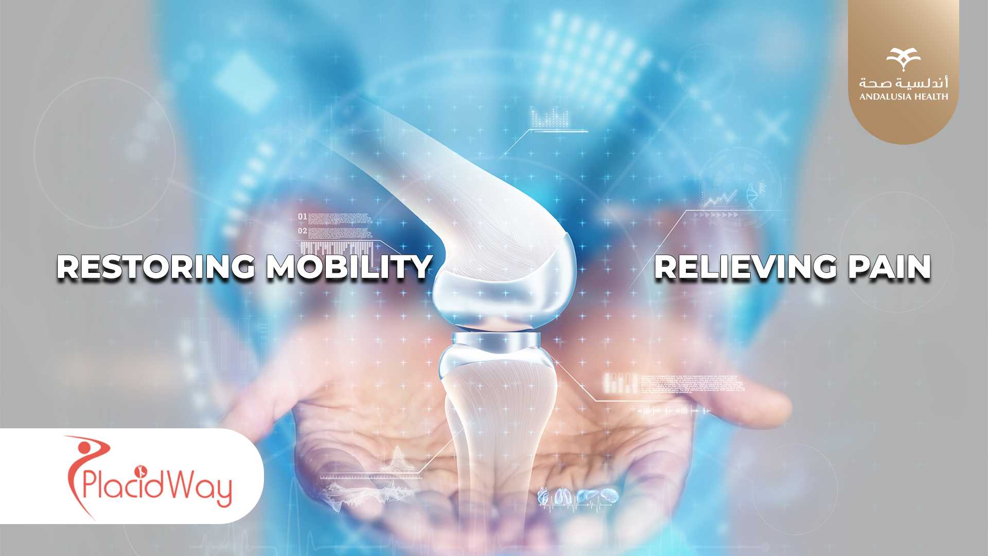 Joints Replacements procedures