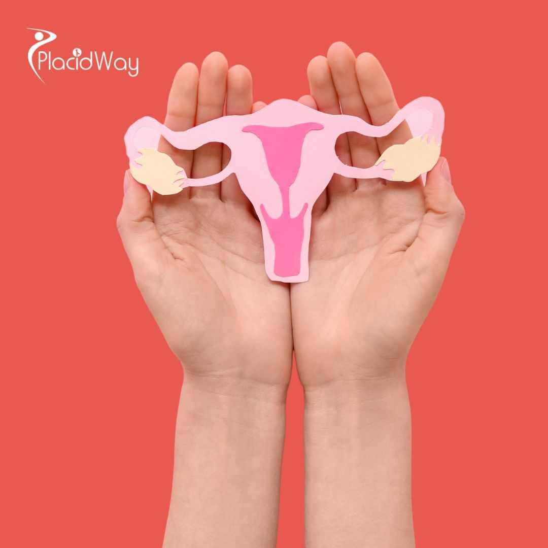 Advanced Stem Cell Treatment in Thailand Package for Ovarian Rejuvenation by Vega Clinic Bangkok