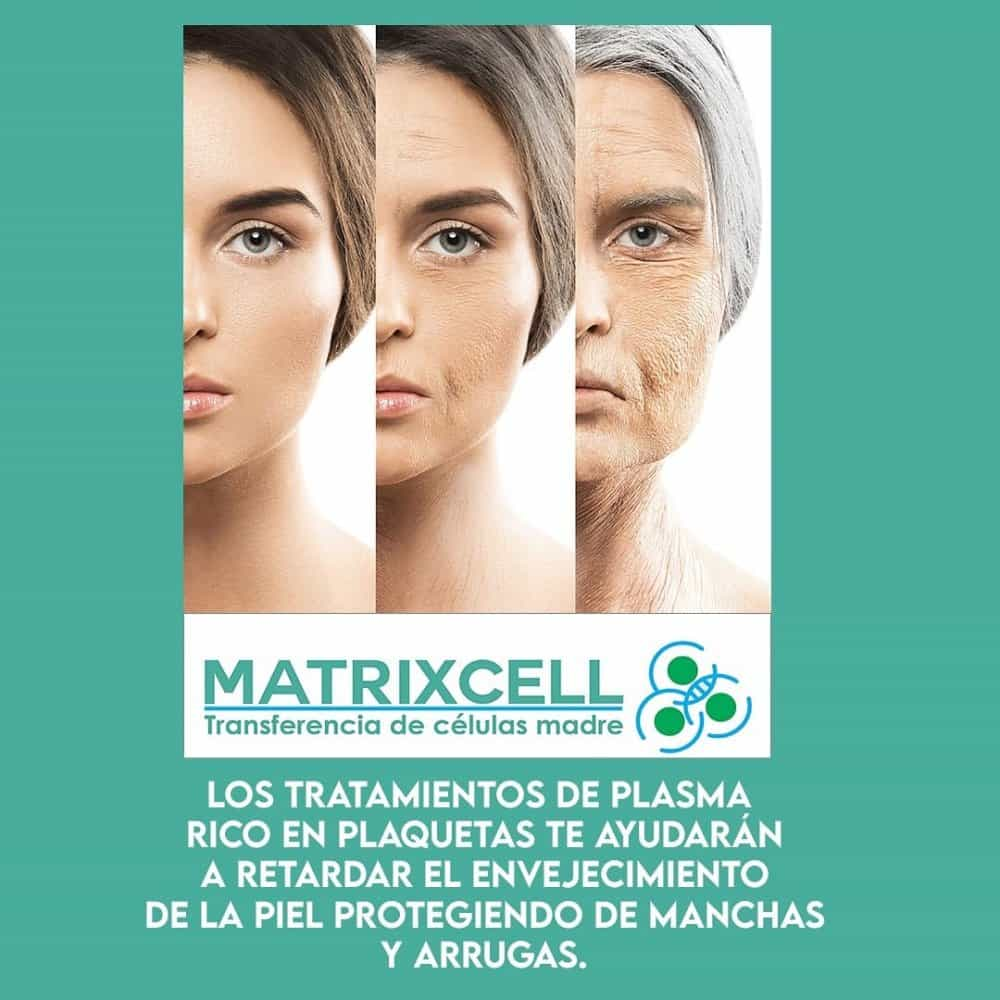 MatrixCell