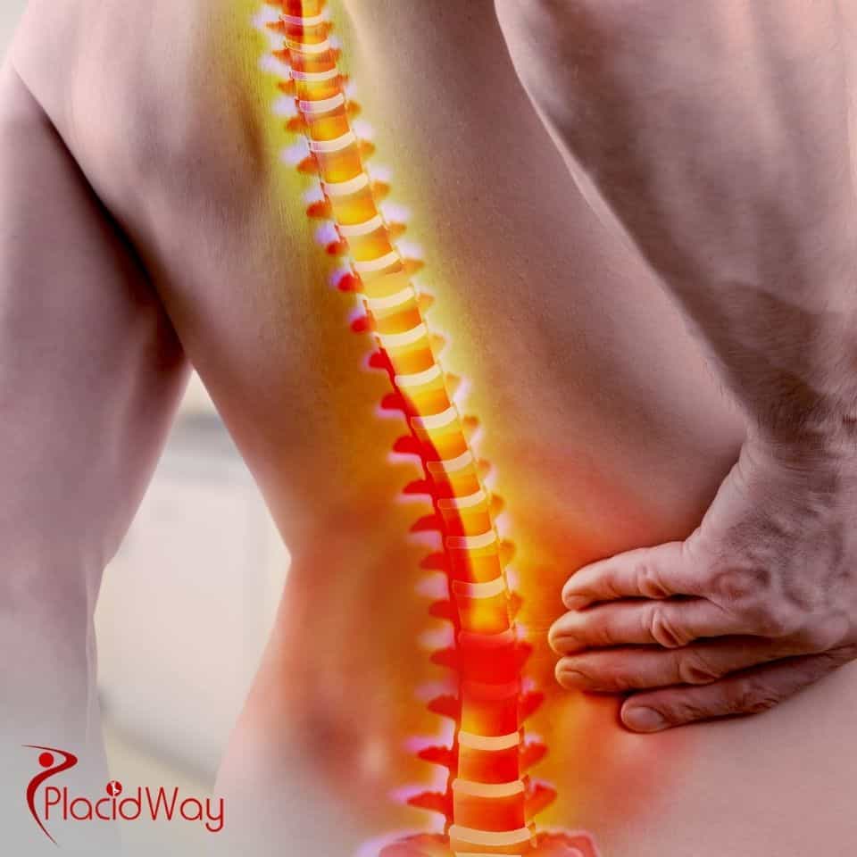Who are the top 10 spine surgeons worldwide?