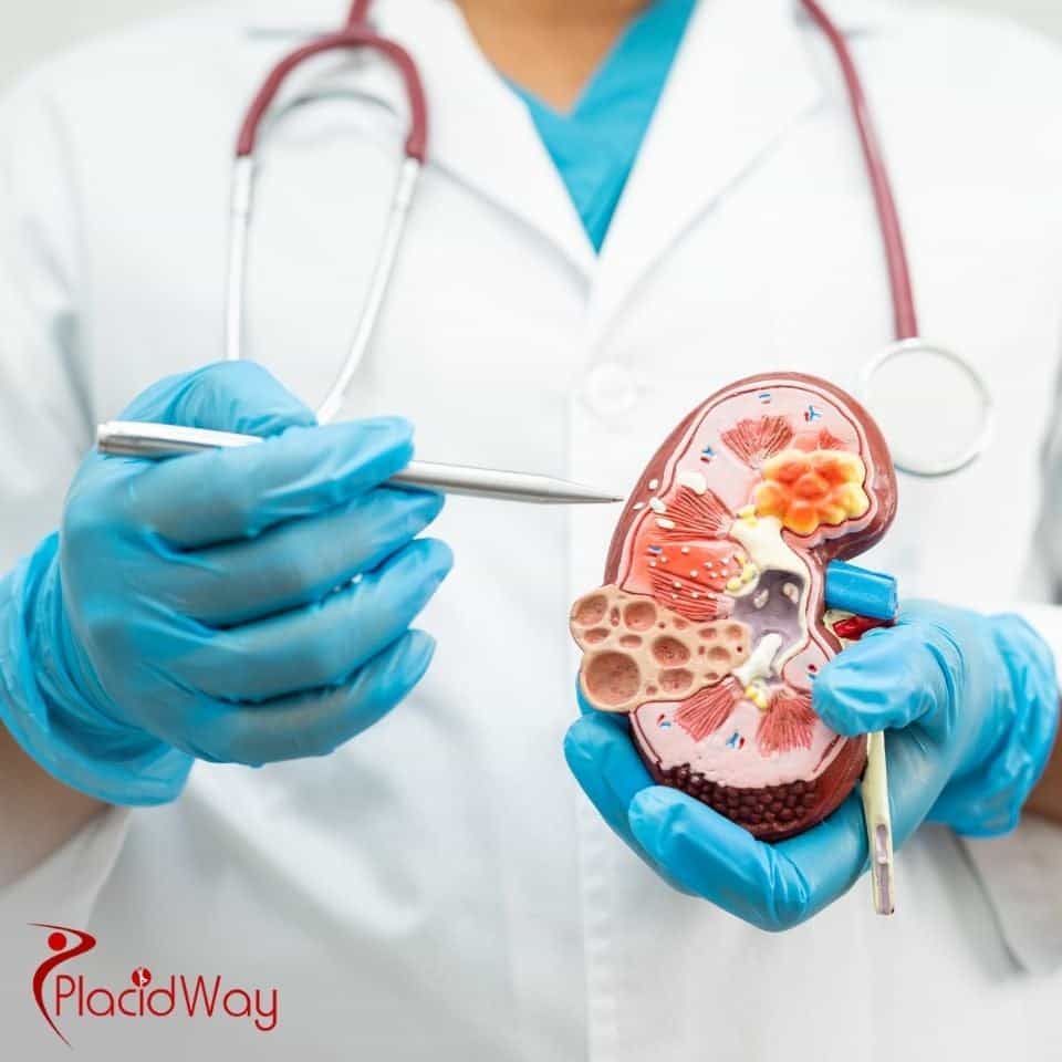 How much does it typically cost to see a private urologist?