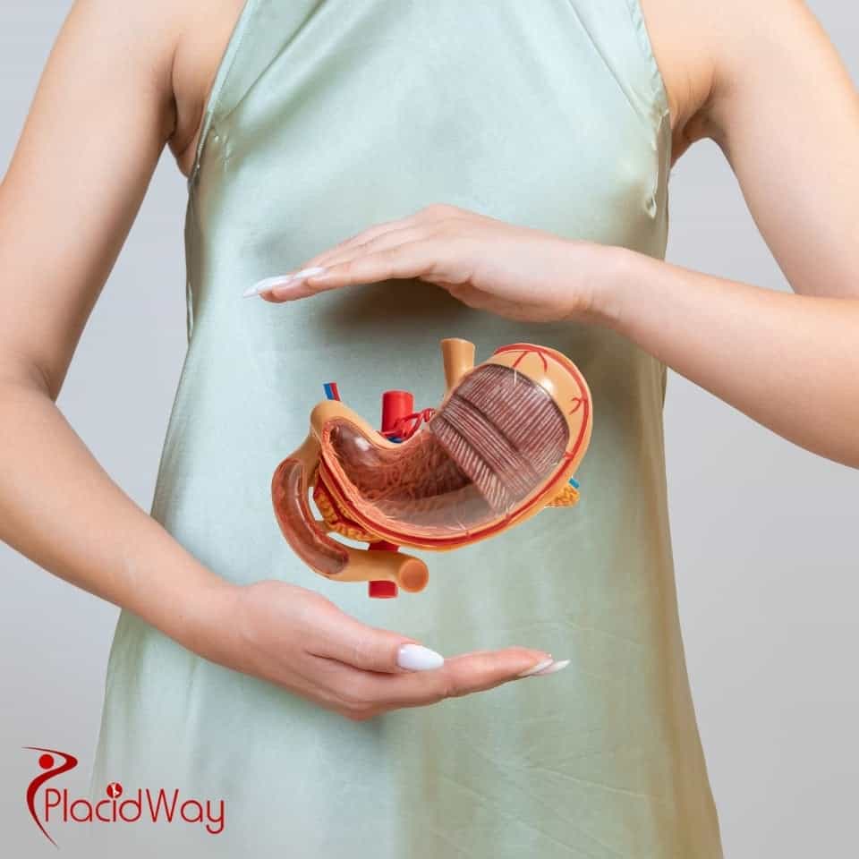 Which Clinics Offer All-Inclusive Gastric Bypass In Turkey?