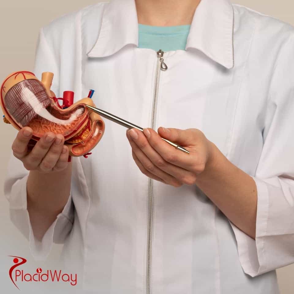 Which Bariatric Surgeons In Mexico Are Board-Certified?