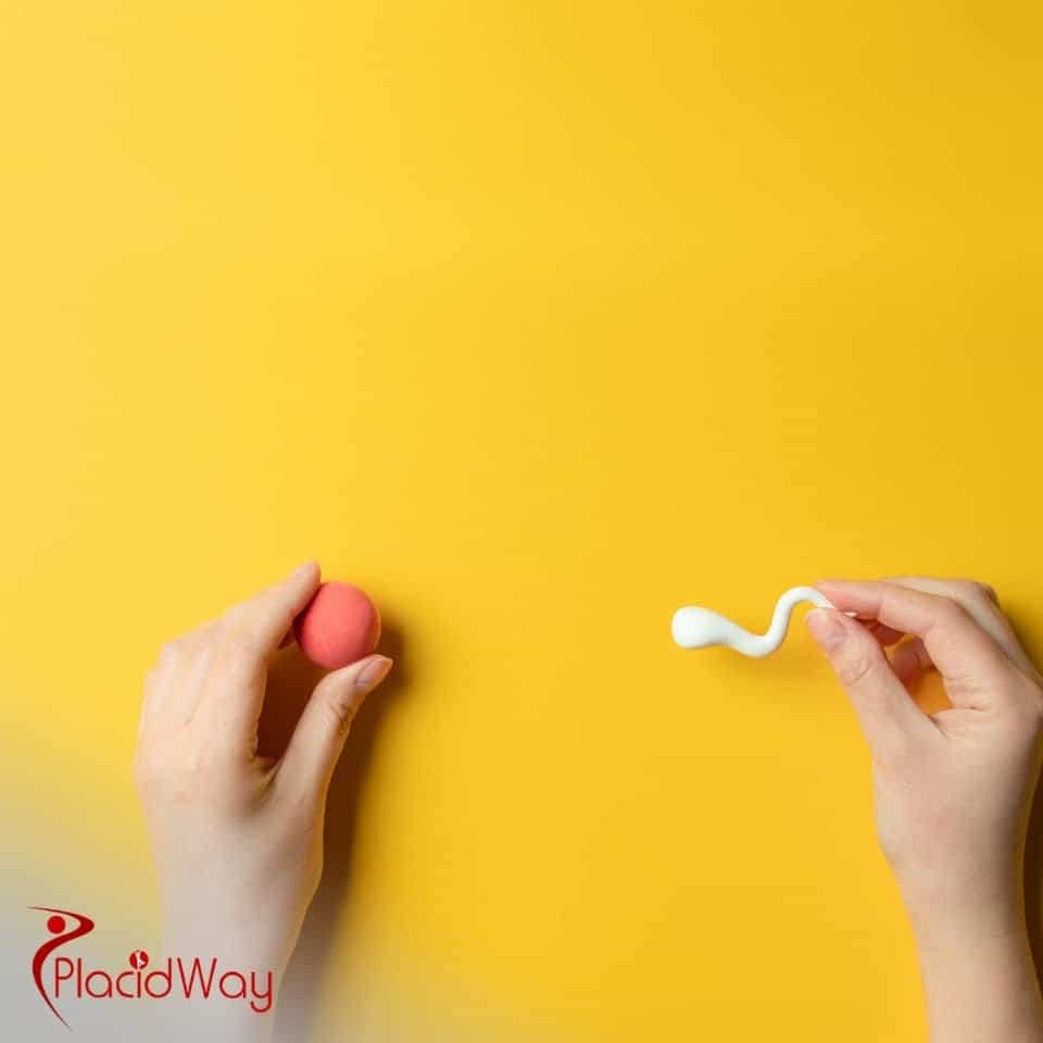 How Much Does IVF Cost In Egypt?