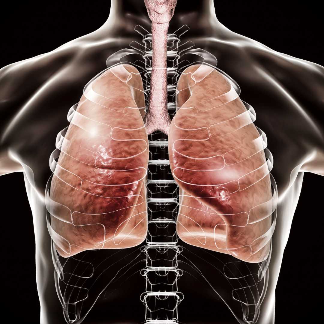 Can Stem Cells Heal your Lungs?