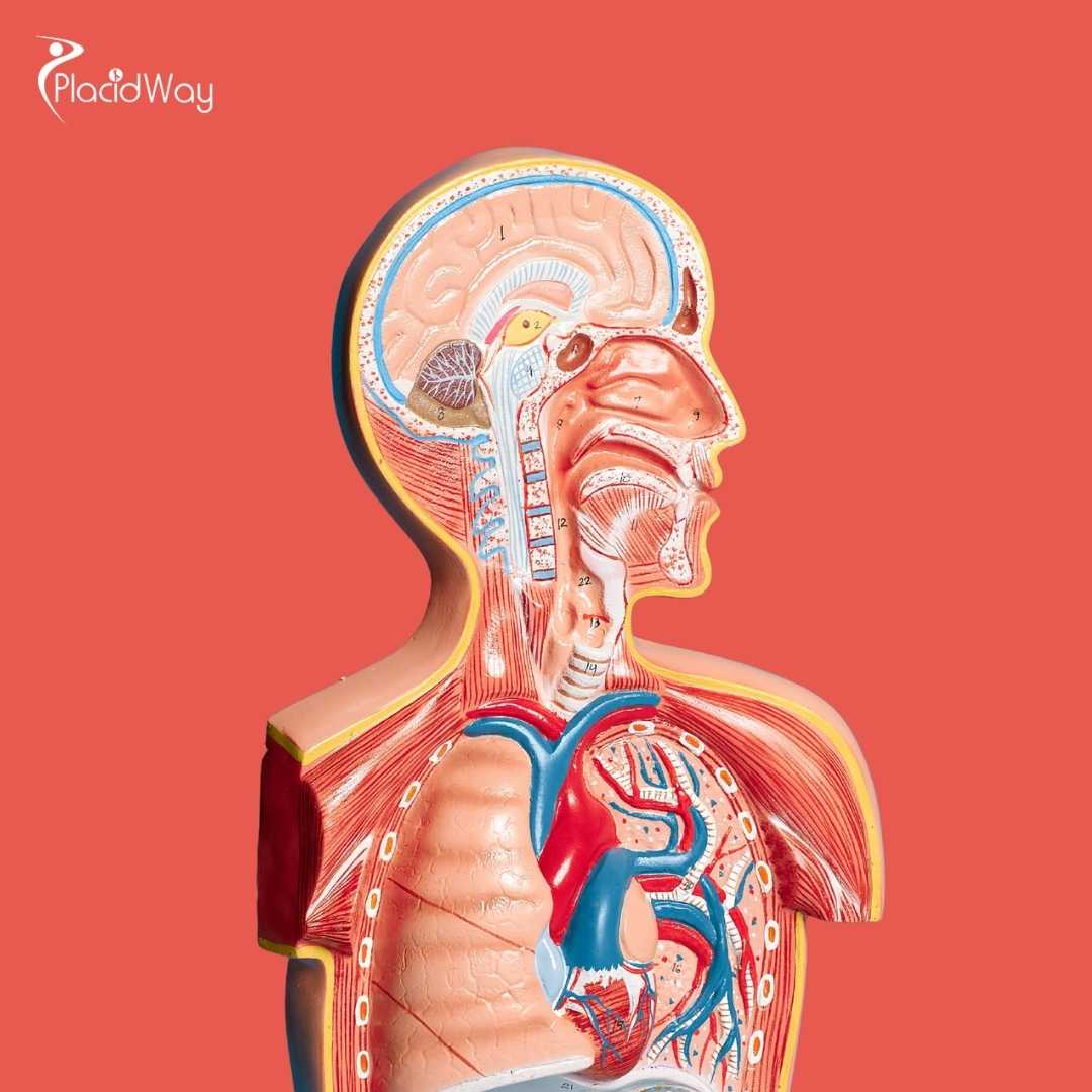 What Is the Cost of Stem Cell Treatment for COPD in Mexico?