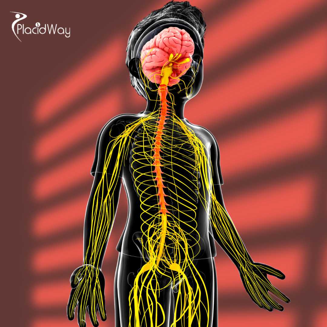 Is Peripheral Neuropathy Stem Cell Japan a Safe and Effective Option for Nerve Repair?